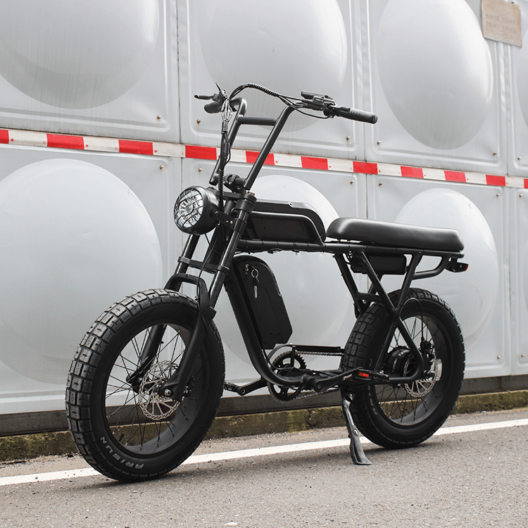 Electric Rip Rider Ripper Pro - Dual-Battery 48V 750W Moto Style Electric Bike – WNDRbike