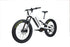 Bakcou Scout Bike - Gloss White - Large