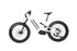 Bakcou Scout Bike - Gloss White - Medium