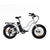 Coastal Cruiser Step Thru Mini 20x4 - 52v Beach Cruiser