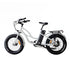 Coastal Cruiser Step Thru Mini 20x4 - 52v Beach Cruiser